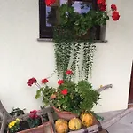Mali Raj *