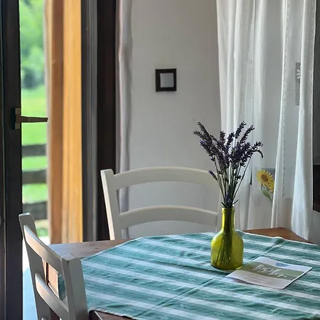 Mali Raj Apartament Dolenci