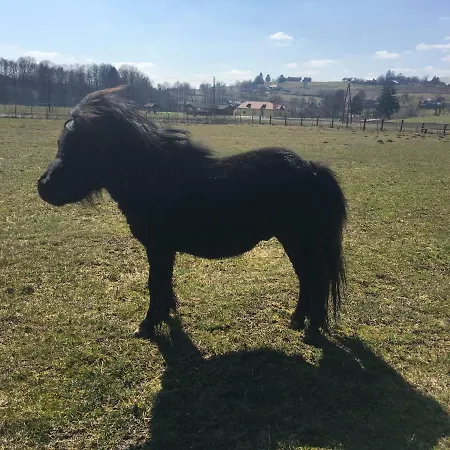 Apartament Mali Raj *