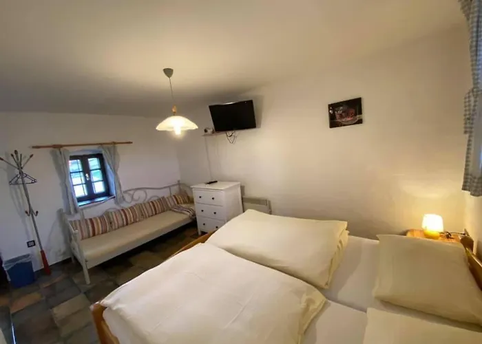 Mali Raj アパート Dolenci