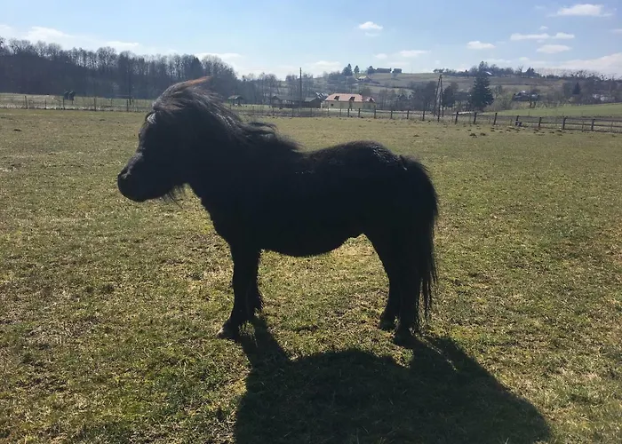 アパート Mali Raj *